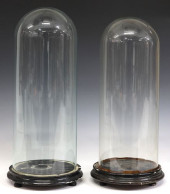 (2) GLASS CLOCHES/ DOMES ON PA