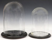 (2) GLASS CLOCHES/ DOMES ON BL