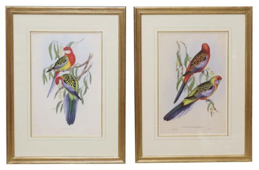 (2) GOULD & RICHTER PRINTS FROM