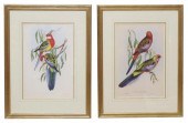 (2) GOULD & RICHTER PRINTS FRO