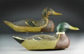 (2) Gundlefinger Mallard Drake