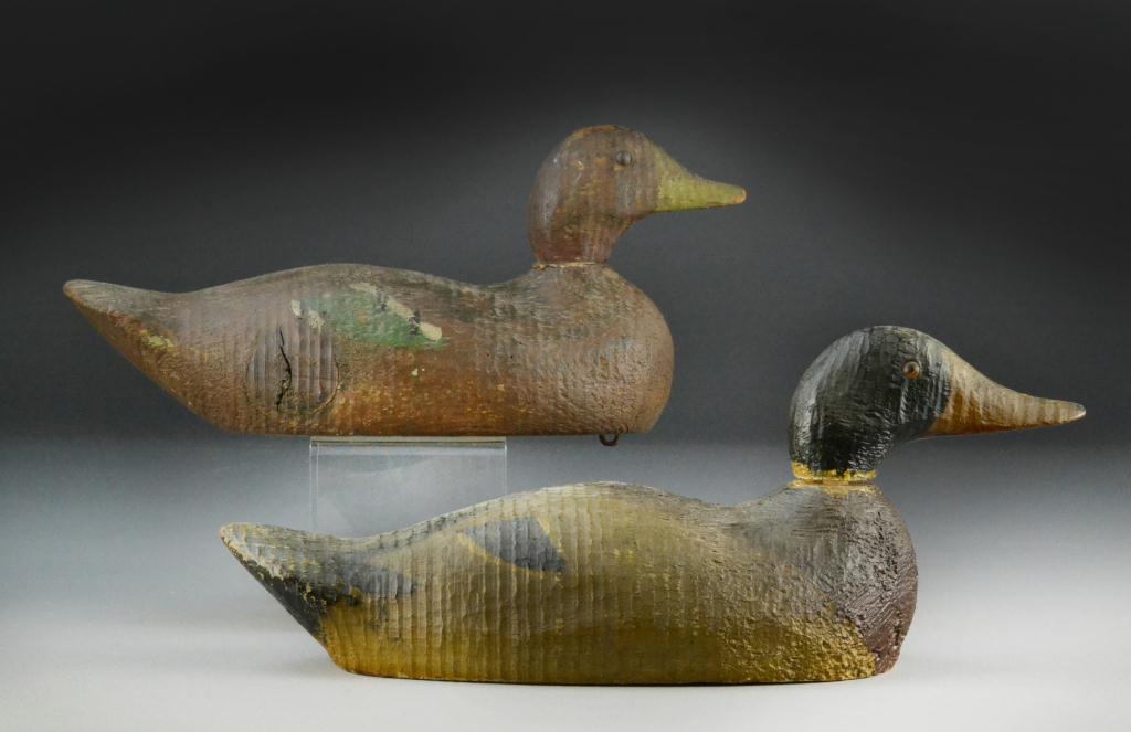 (2) Gundlefinger Mallard Duck
