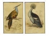 2) HAND-COLORED ENGRAVINGS ORN