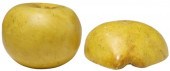 (2) HAND-PAINTED STONE APPLE &
