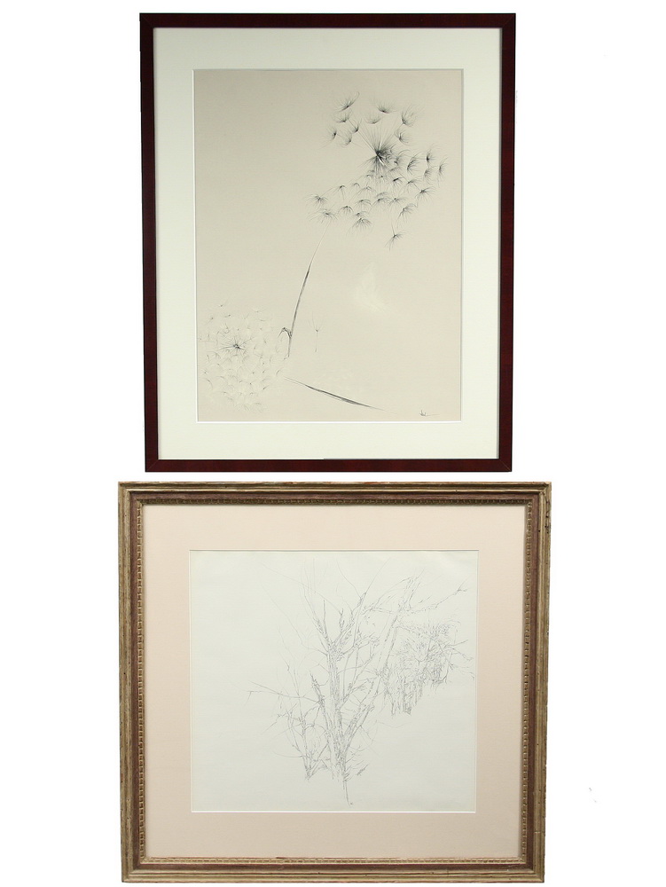 (2) INK DRAWINGS - Studies of