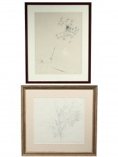 (2) INK DRAWINGS - Studies of
