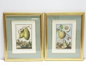2 J. VOLCKAMER PRINTS: "HESPER