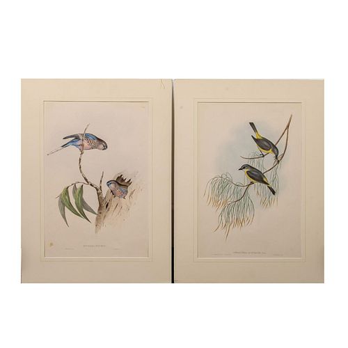 2 JOHN GOULD BIRDS OF AUSTRALIA