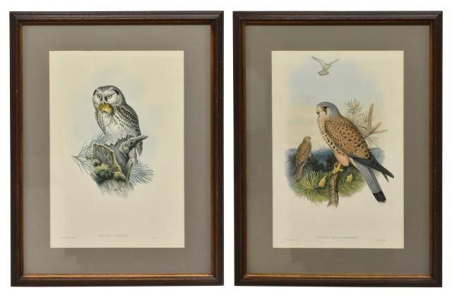 (2) JOHN GOULD ORNITHOLOGY