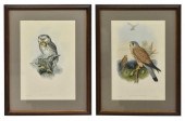 (2) JOHN GOULD ORNITHOLOGY HAN