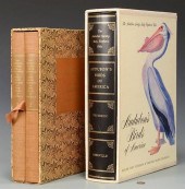 2 JOHN J. AUDUBON ILLUSTRATED