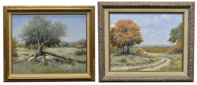 (2) LYNDON ANDERSON HILL COUNTRY