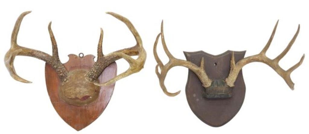 (2) MULE DEER ANTLER RACKS ON