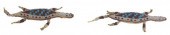 (2) NATIVE AMERICAN SIOUX BEAD