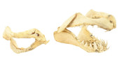 2 NATURAL SHARK JAWS<br>2 Natu