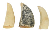 2 NATURAL WHALE TEETH & RESIN