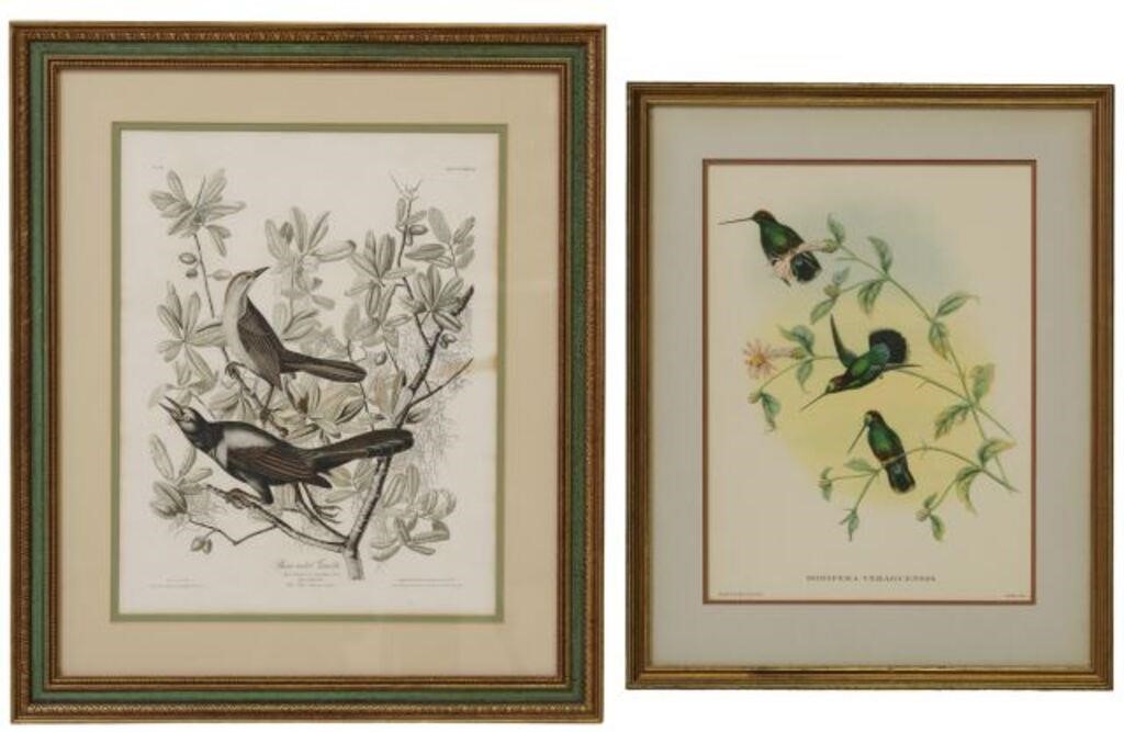 (2) ORNITHOLOGICAL PRINTS AFTER