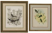 (2) ORNITHOLOGICAL PRINTS AFTE
