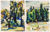 2 OTTO PLAUG FOREST LANDSCAPE