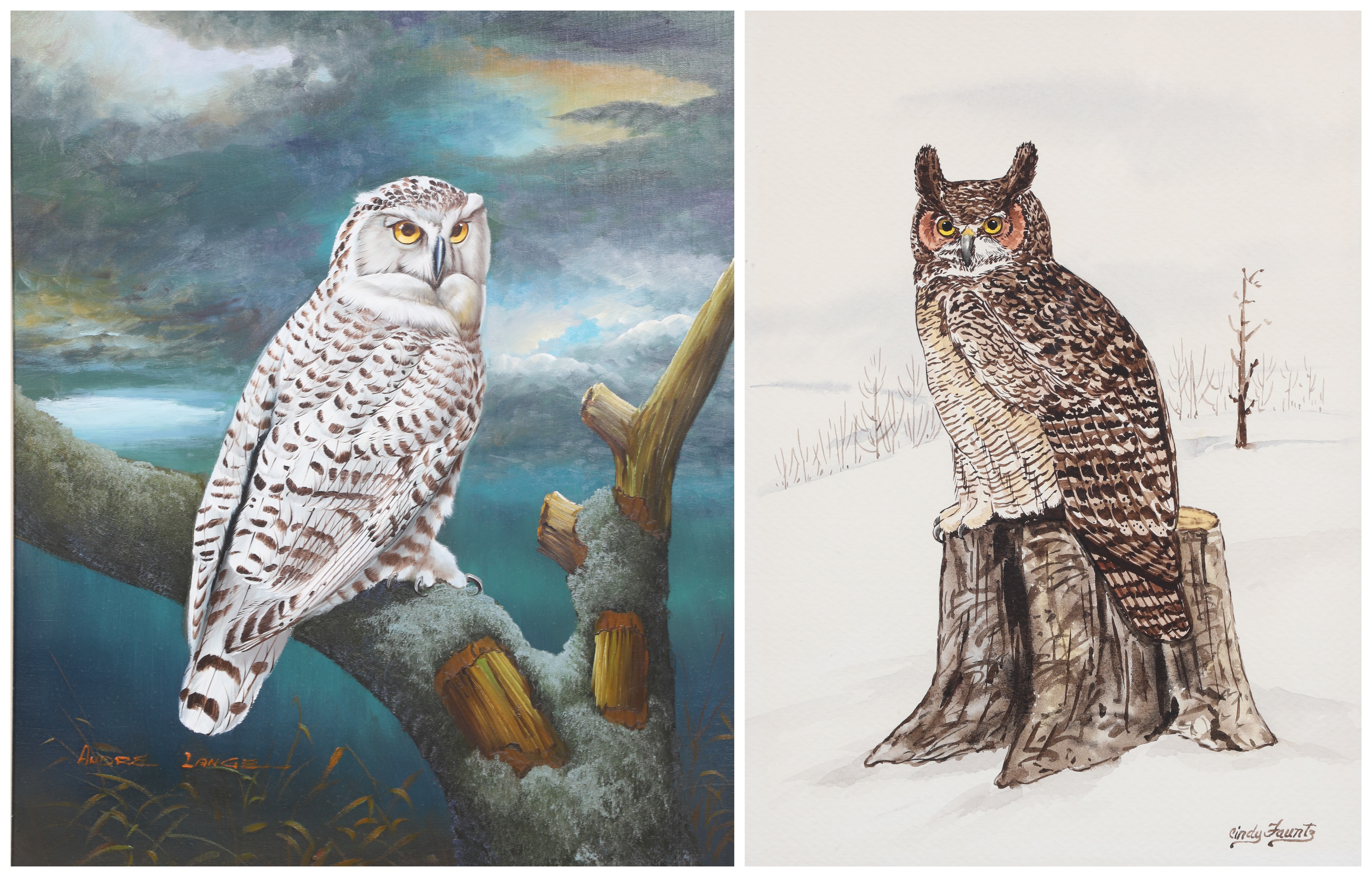 (2) Paintings of owls, white owl,