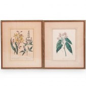 (2 PC) BOTANICAL FRAMED BOOKPL