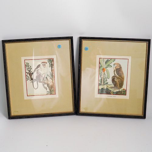 (2 PC) HAND COLORED FRENCH ART