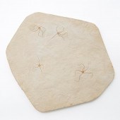 2 PCS, POLISHED FOSSILIZED SPE