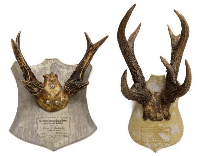 (2) PHILLIPINE SAMBAR ANTLER TROPHY
