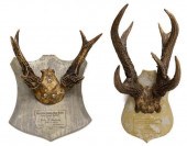 (2) PHILLIPINE SAMBAR ANTLER T