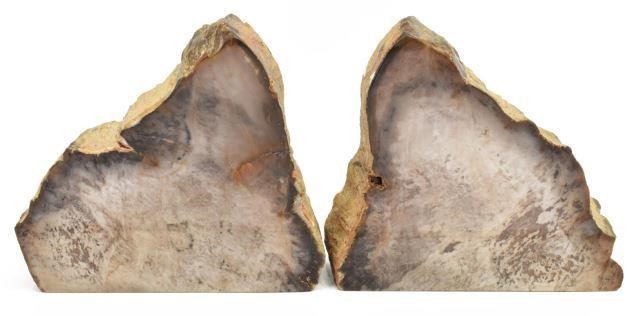 (2) POLISHED PETRIFIED WOOD