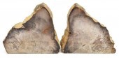 (2) POLISHED PETRIFIED WOOD SL