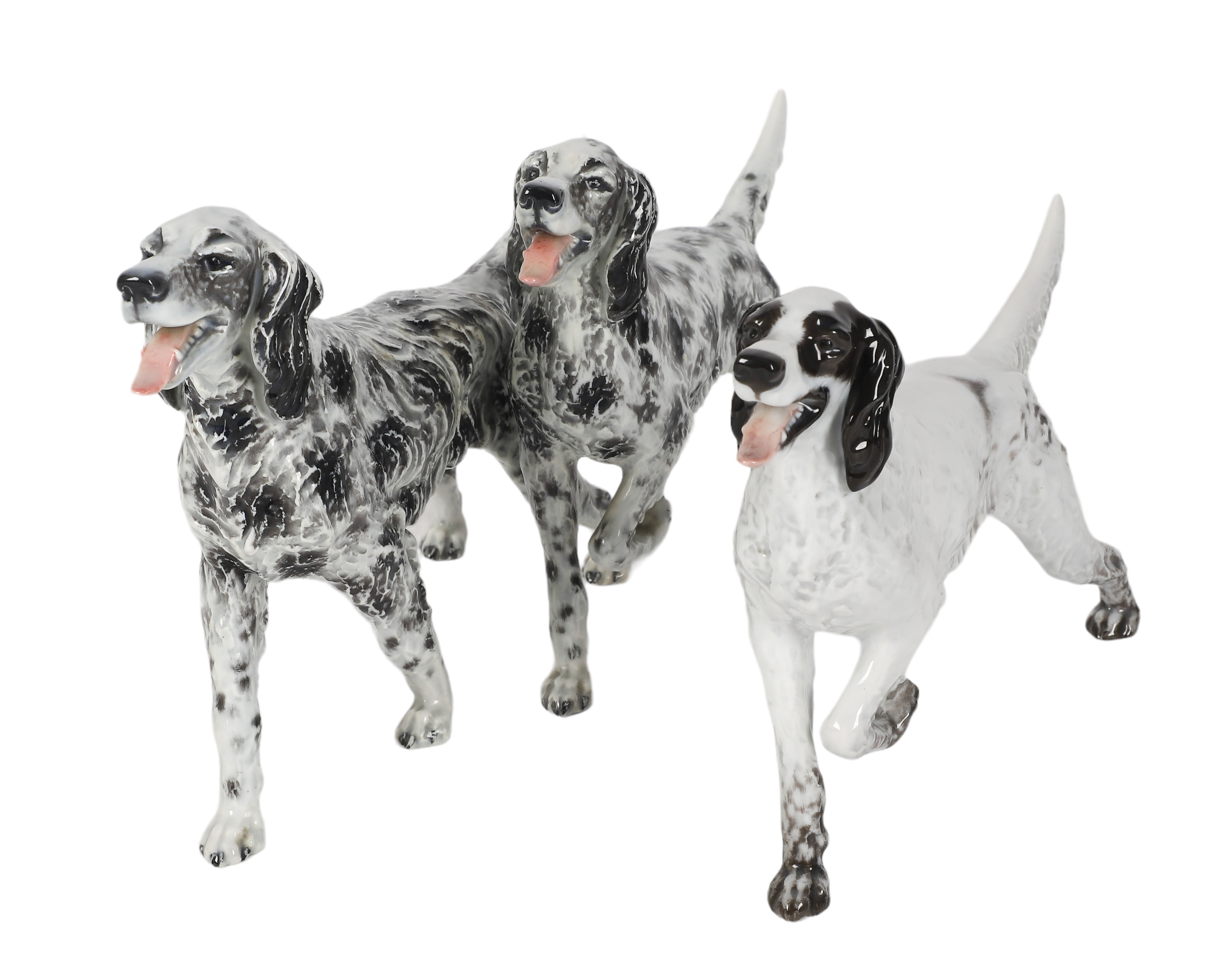 (2) Rosenthal English Setter