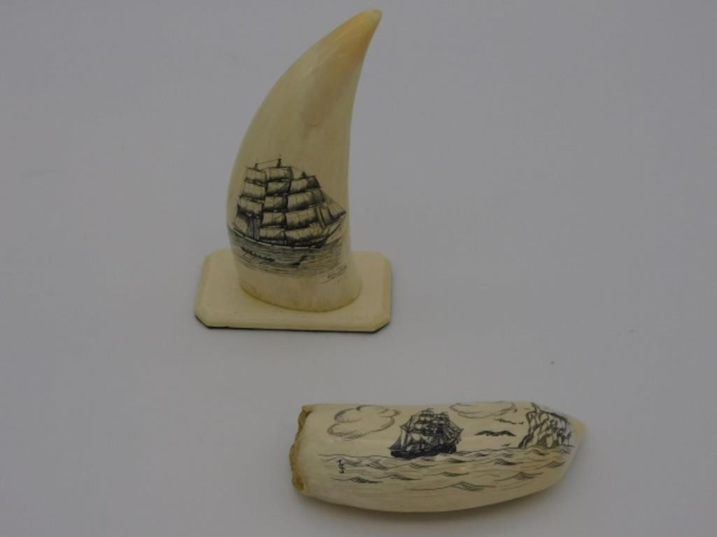 (2) SCRIMSHAWED WHALE'S TEETH, 20TH