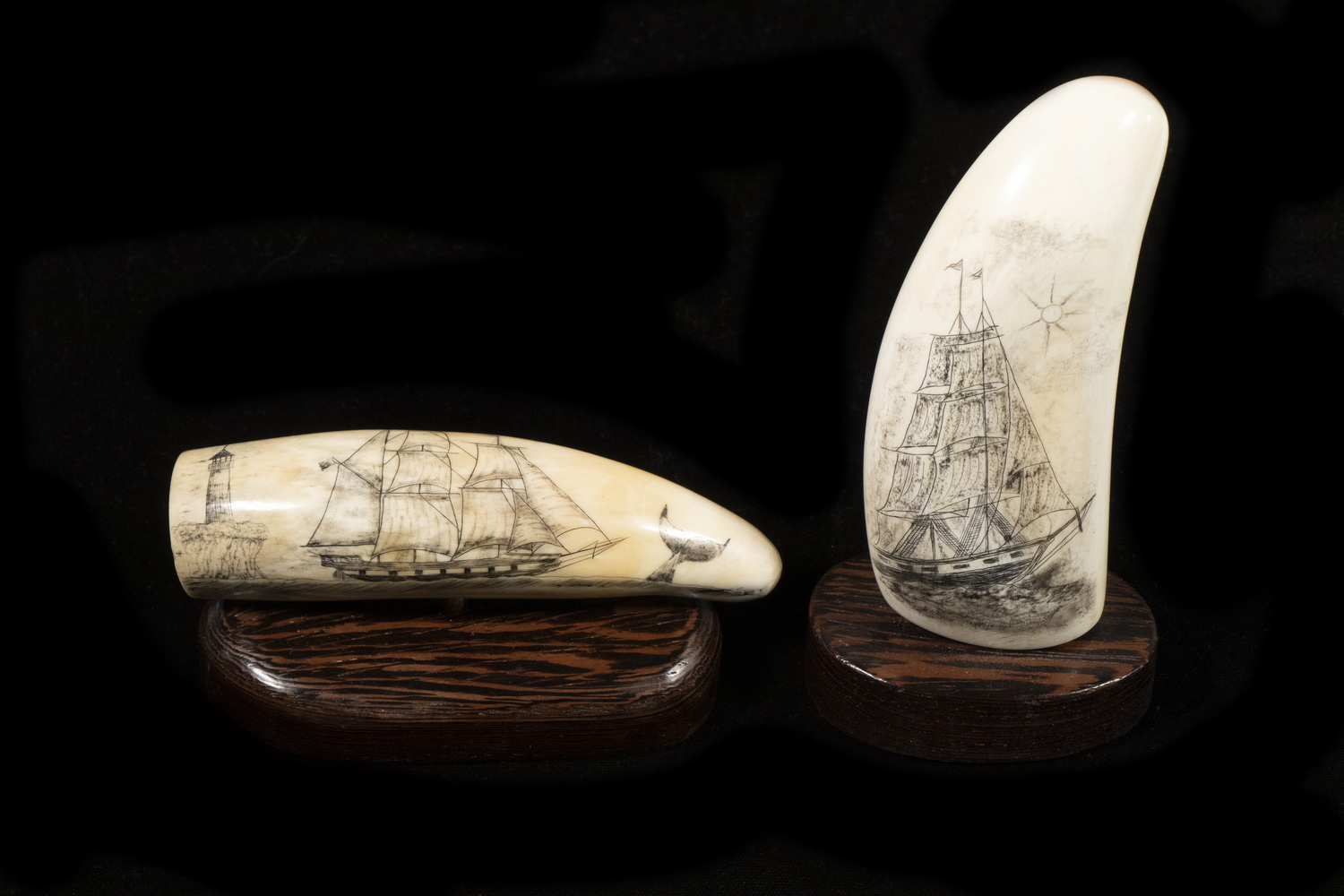 (2) SCRIMSHAWN WHALE'S TEETH BY
