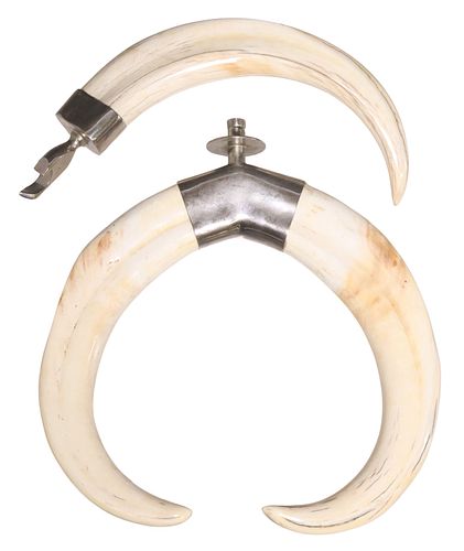 (2) SILVER-TONE METAL MOUNTED