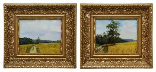 (2) VLADIMIR SORIN (B.1966)