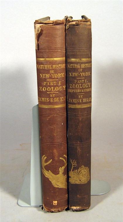 2 vols.   De Kay, James E.