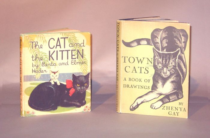 2 vols.  Illustrated Books -