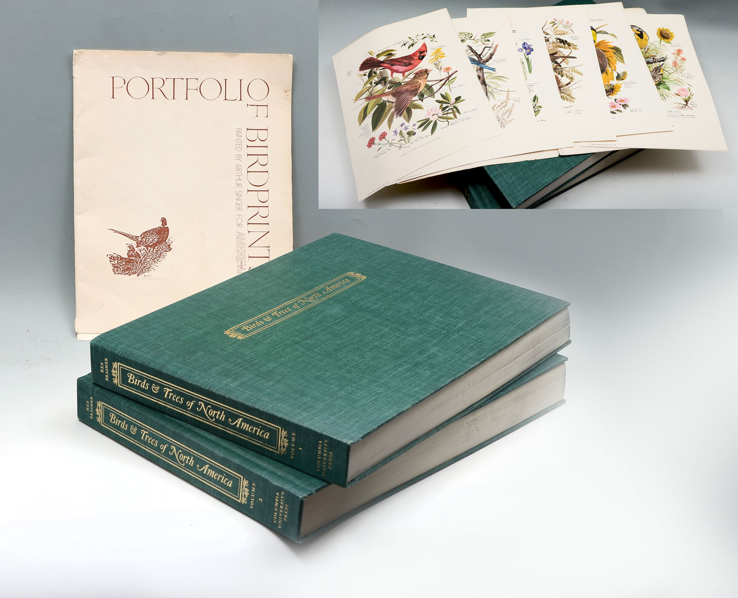 2 VOLUME REX BRASHER ''BIRDS AND