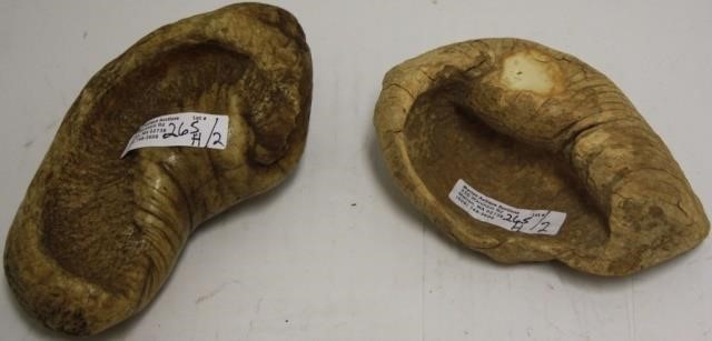 2 WHALE EAR DRUMS, 5" AND 6"