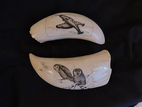 2 WHALE TEETH - OWLS & NARWHALS2