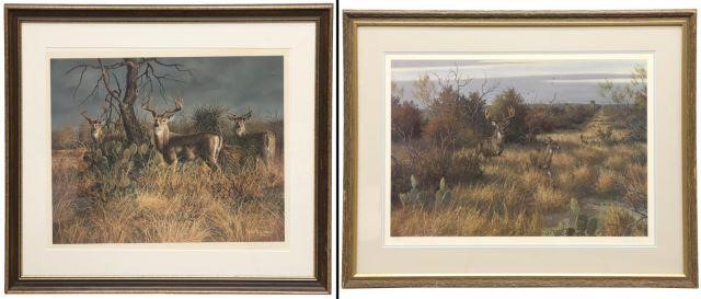 (2) WILDLIFE STAG PRINTS, GARY