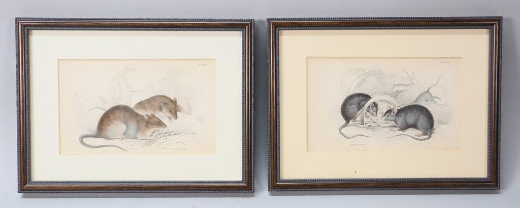 2 WILLIAM LIZARS HAND COLORED