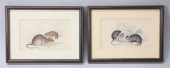 2 WILLIAM LIZARS HAND COLORED