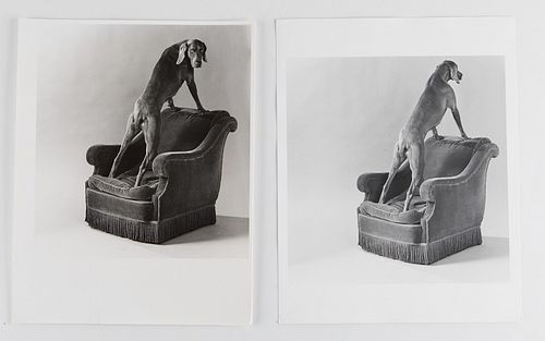 2 WILLIAM WEGMAN WEIMARANER