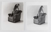 2 WILLIAM WEGMAN WEIMARANER PH