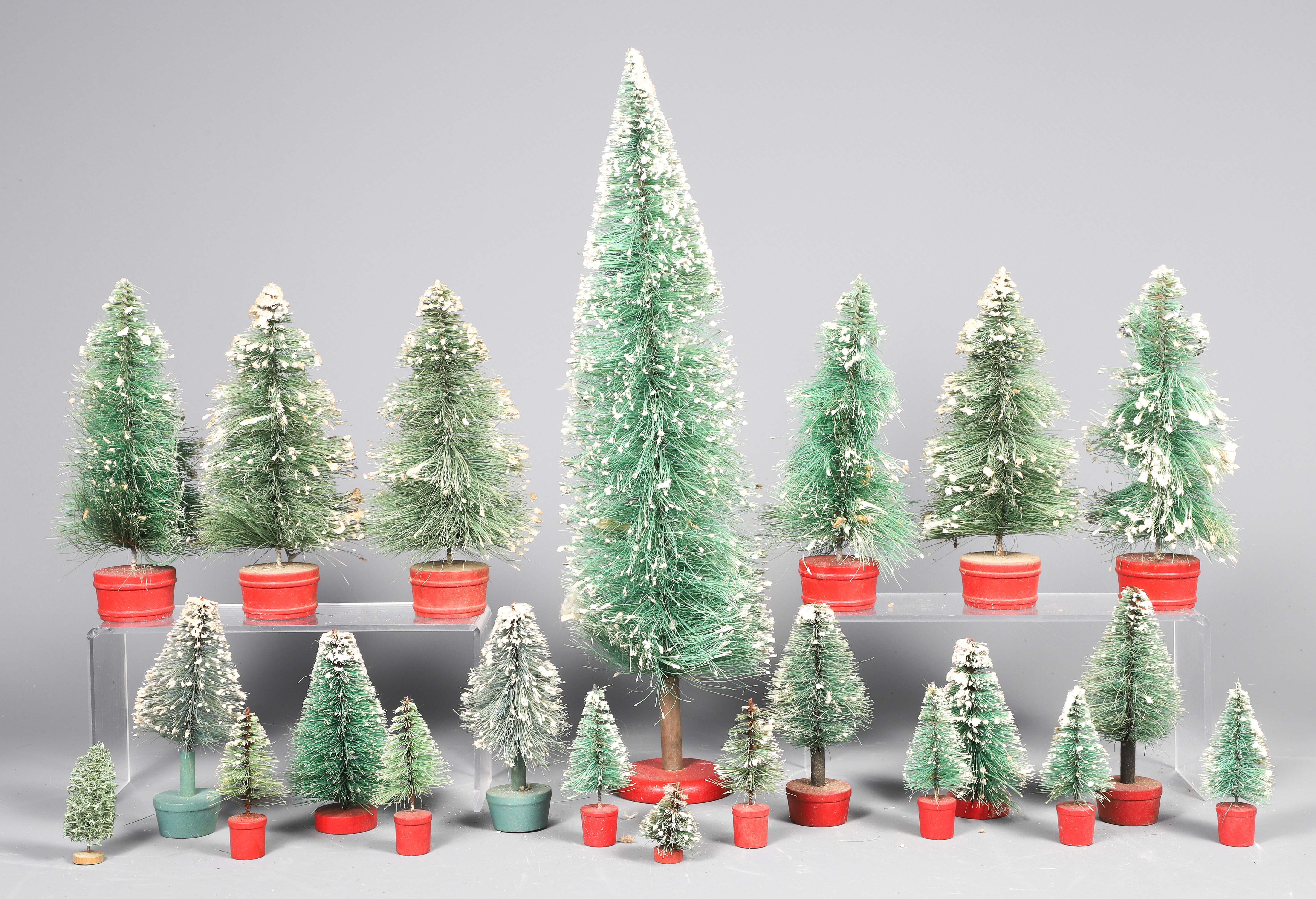 (20+) Bottle brush Christmas trees,
