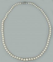 20 INCH GRADUATED 4.5-7.9MM CU