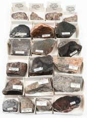 20 PC. FOSSILIZED DINOSAUR BON