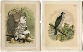 20 prints after Theodore Jaspe